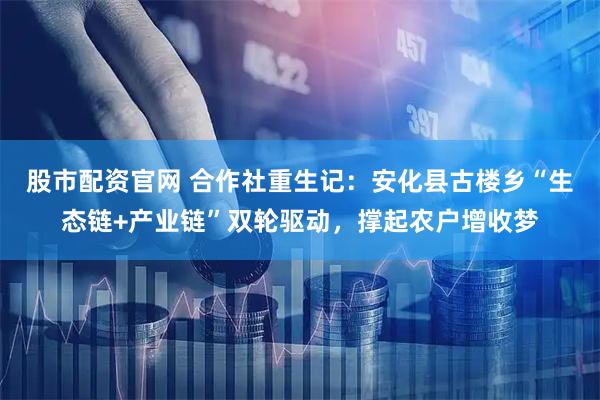股市配资官网 合作社重生记：安化县古楼乡“生态链+产业链”双轮驱动，撑起农户增收梦